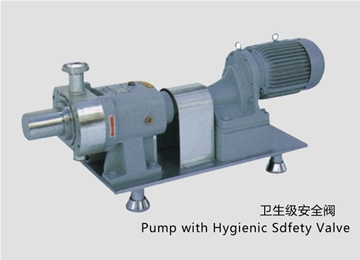 凸輪式轉(zhuǎn)子泵