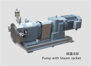 凸輪式轉(zhuǎn)子泵