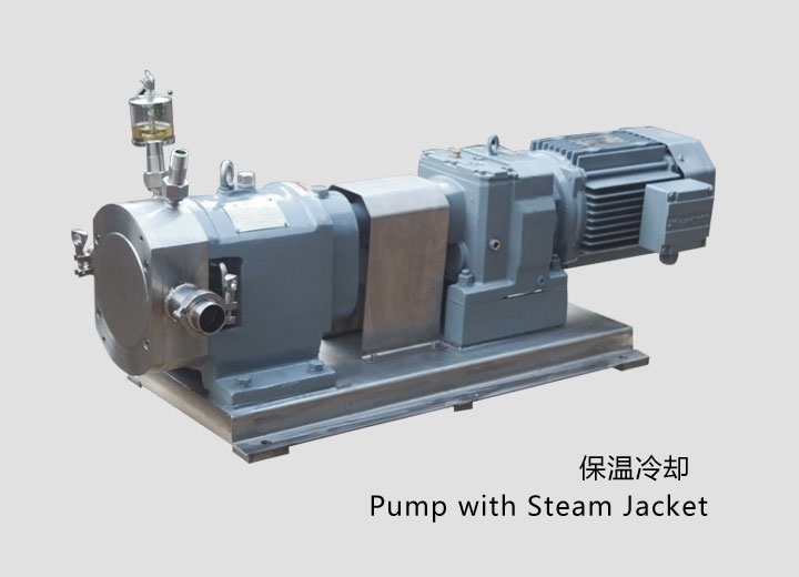 凸輪式轉(zhuan)子泵