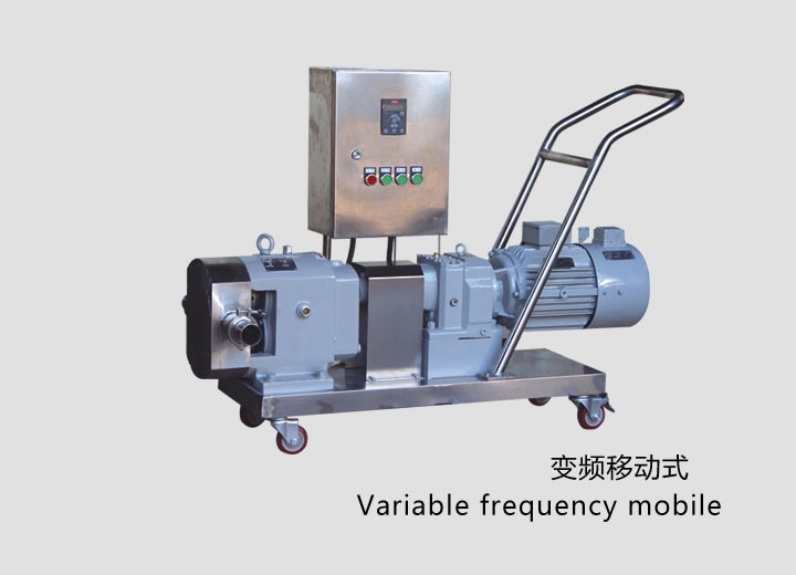 凸輪式轉子(zi)泵