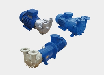 2BV系列(lie)水環式(shi)真空泵(bèng)